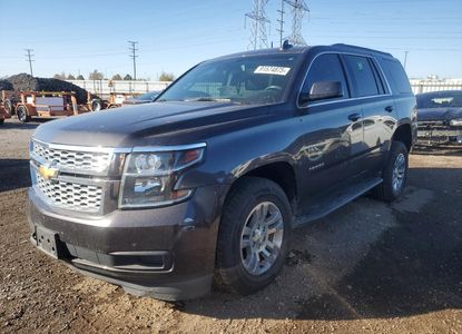 Vehicle Report for - Image 1