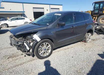 Vehicle Report for VIN 1FMCU0GD5KUB44967 - Image 1