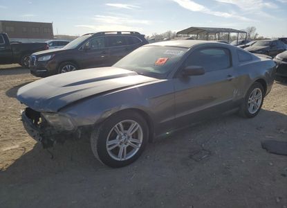 Vehicle Report for VIN 1ZVBP8AN9A5130471 - Image 1