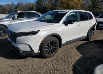 Vehicle Report for - Image 1