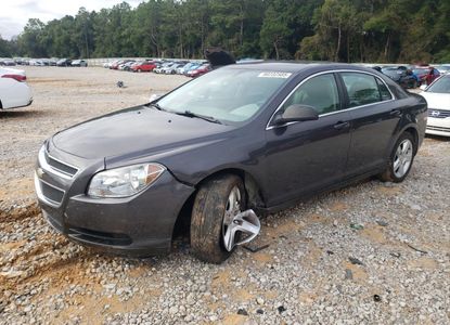 Vehicle Report for - Image 1