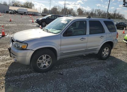 Raport vehicul pentru VIN 1FMYU04195KB68172 - Imaginea 1