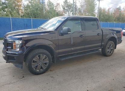 Raport vehicul pentru VIN 1FTEW1E50JFD64156 - Imaginea 1