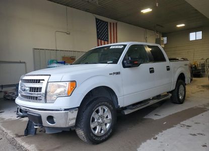 Vehicle Report for - Image 1