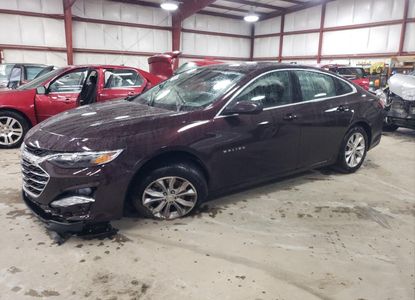 Vehicle Report for VIN 1G1ZD5ST8LF026081 - Image 1