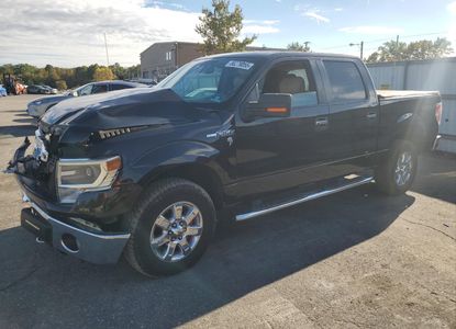 Vehicle Report for - Image 1