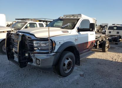 Raport vehicul pentru VIN 3C7WRKBLXKG550228 - Imaginea 1