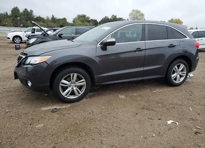 Vehicle Report for VIN 5J8TB4H52DL005561 - Image 1