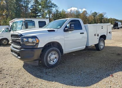 Vehicle Report for VIN 3C6MR4AJ6RG124165 - Image 1