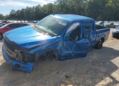 Raport vehicul pentru VIN 1FTEW1EP5KFB69219 - Imaginea 1