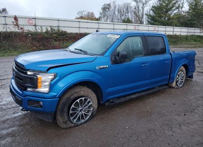 Vehicle Report for VIN 1FTEW1EP0LFB46402 - Image 1