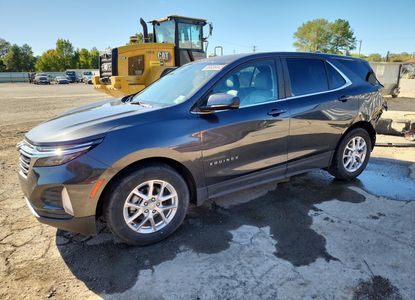 Vehicle Report for - Image 1