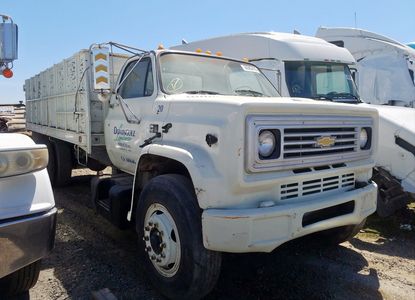 Informe del vehículo para VIN 1GBL7D1B1HV110042 - Imagen 1