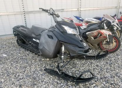 Raport pojazdu dla VIN 2BPSCGGC0GV000130 - Obraz 1