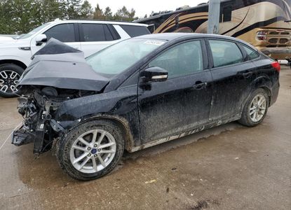 Vehicle Report for VIN 1FADP3F24GL309508 - Image 1