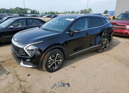 Vehicle Report for VIN 5XYK3CDF5RG179384 - Image 1