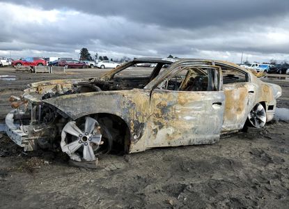 Vehicle Report for - Image 1