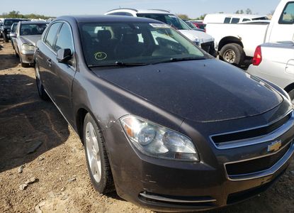 Vehicle Report for - Image 1