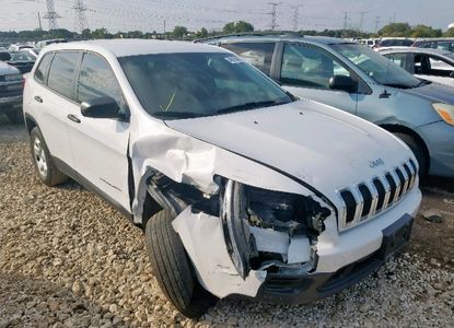 Raport vehicul pentru - Imaginea 1