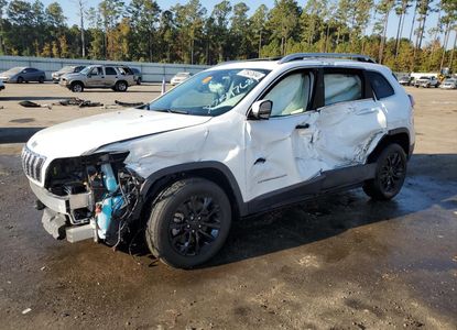 Raport pojazdu dla VIN 1C4PJLMN6MD107085 - Obraz 1