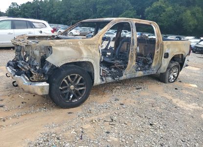 Vehicle Report for VIN 3GTU9BED2LG194884 - Image 1