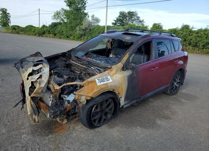Vehicle Report for - Image 1