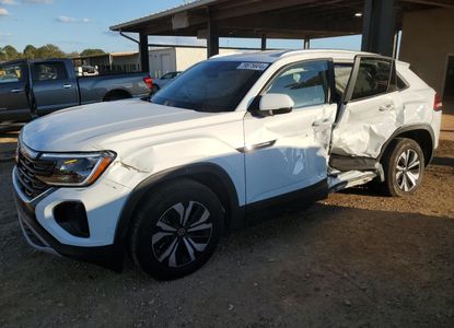 Vehicle Report for VIN 1V2DE2CAXRC210618 - Image 1