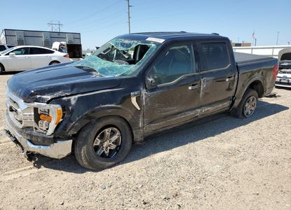 Vehicle Report for VIN 1FTEW1EP9MFC33040 - Image 1