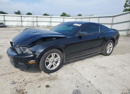 Fahrzeugbericht für VIN 1ZVBP8AM2E5214449 – Bild 1