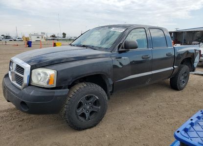 Vehicle Report for VIN 1D7HW48N05S309915 - Image 1