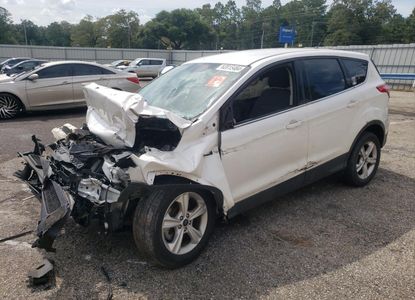 Vehicle Report for VIN 1FMCU0GX7EUB27618 - Image 1