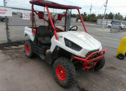 Raport vehicul pentru - Imaginea 1