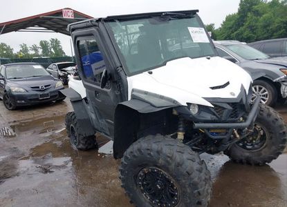 Raport vehicul pentru - Imaginea 1
