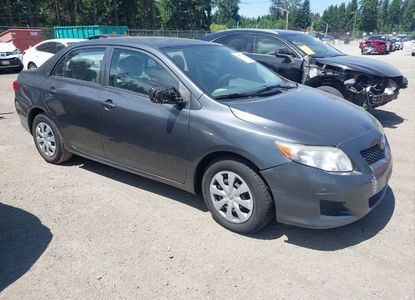 Raport pojazdu dla VIN 2T1BU4EE9AC425409 - Obraz 1