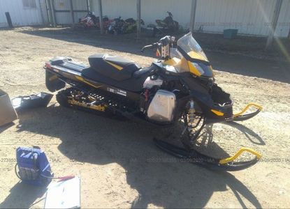 Raport vehicul pentru VIN 2BPSBXDB0DV000137 - Imaginea 1