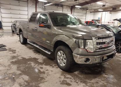 Raport pojazdu dla VIN 1FTFW1ET7DKG51041 - Obraz 1