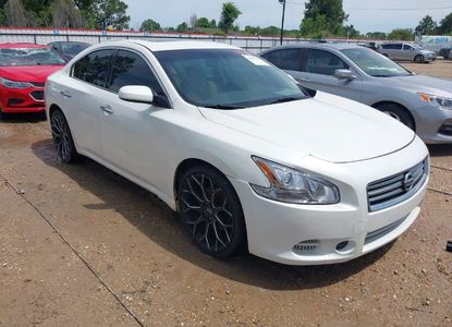 Raport pojazdu dla VIN 1N4AA5AP7DC846176 - Obraz 1