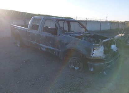 Informe del vehículo para VIN 1FTSW21P97EA26253 - Imagen 1