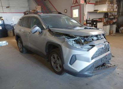 Vehicle Report for VIN 2T3P1RFV2RC459446 - Image 1