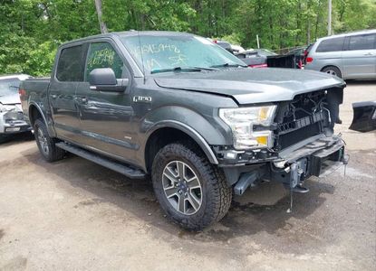 Raport pojazdu dla VIN 1FTEW1EG2GFD14420 - Obraz 1