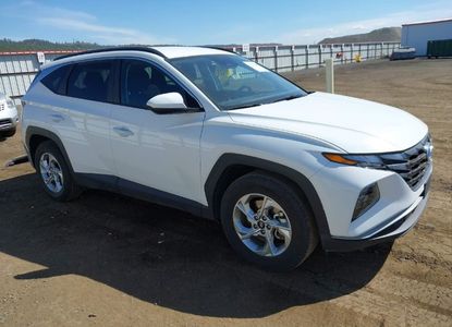 Vehicle Report for VIN 5NMJB3DE8RH421998 - Image 1