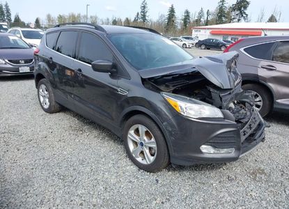 Vehicle Report for VIN 1FMCU0GX6FUC66480 - Image 1