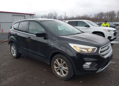 Vehicle Report for VIN 1FMCU0GD4KUA60347 - Image 1