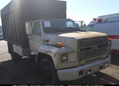 Raport vehicul pentru - Imaginea 1