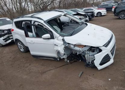 Vehicle Report for VIN 1FMCU9G9XEUA44349 - Image 1