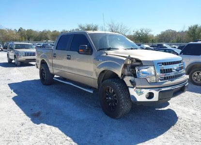 Vehicle Report for VIN 1FTFW1CT6DFD31463 - Image 1