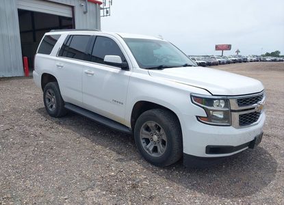 Vehicle Report for - Image 1