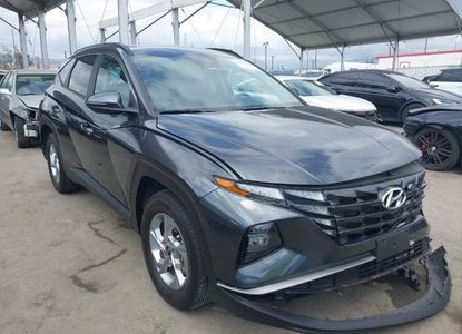 Raport pojazdu dla VIN 5NMJBCAE2PH289192 - Obraz 1