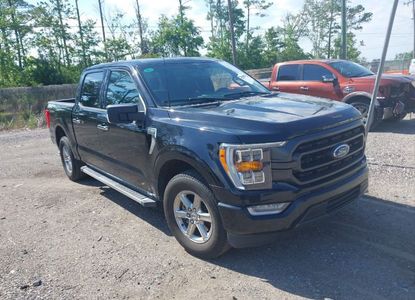 Vehicle Report for VIN 1FTEW1C54PFB84125 - Image 1