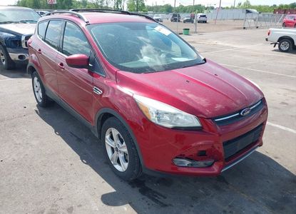 Vehicle Report for - Image 1